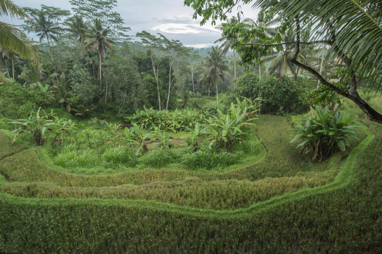 Hotel Masakali Retreat Ubud Zewnętrze zdjęcie
