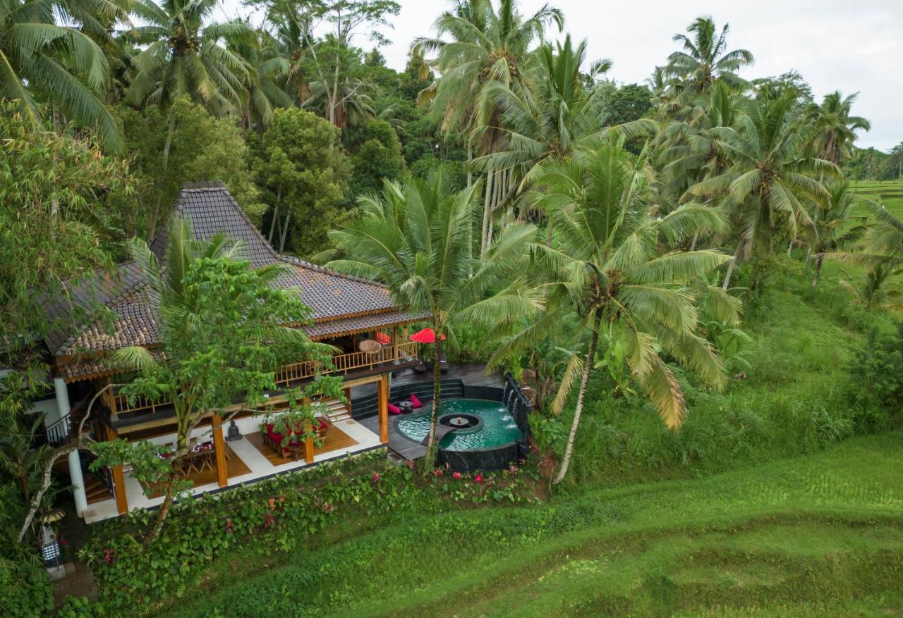Hotel Masakali Retreat Ubud Zewnętrze zdjęcie